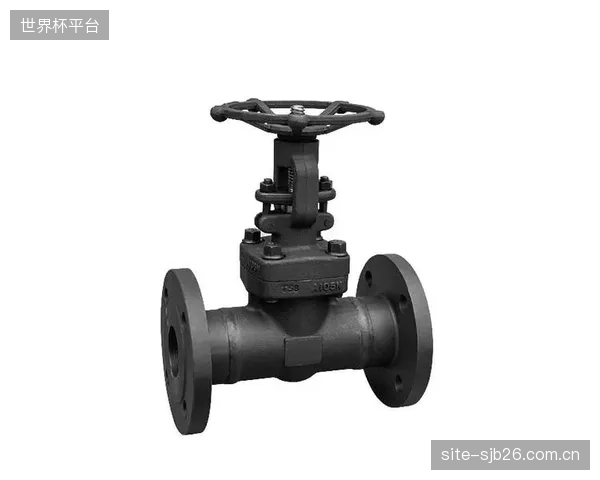 模块化、可插拔的阀门与解码器设计,标志着行业正从解决单点故障走向提升系统整体韧性 模块化、可插拔的阀门与解码器设计,标志着行业正从解决单点故障走向提升系统整体韧性